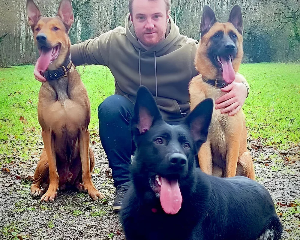 Neuradog Educateur Canin Caen Realisations 1